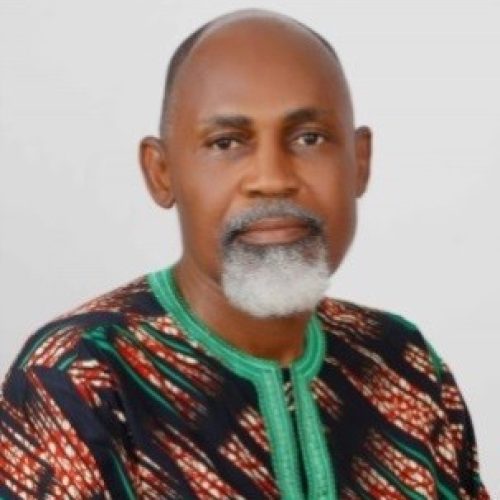 Dr. Chinedu B. Odoala Dir R and D